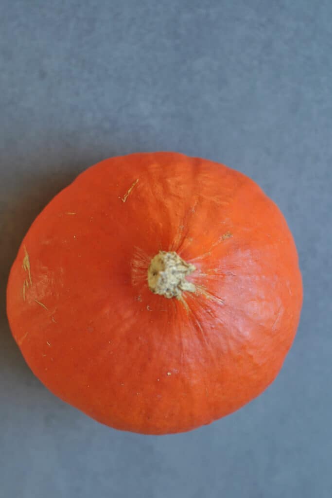 Hokkaido pumpkin