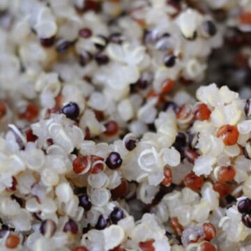 cooked tri-color quinoa.