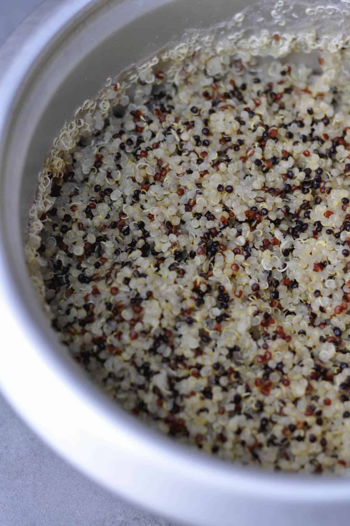 perfect quinoa cooked in the rice cooker (the lazy way)