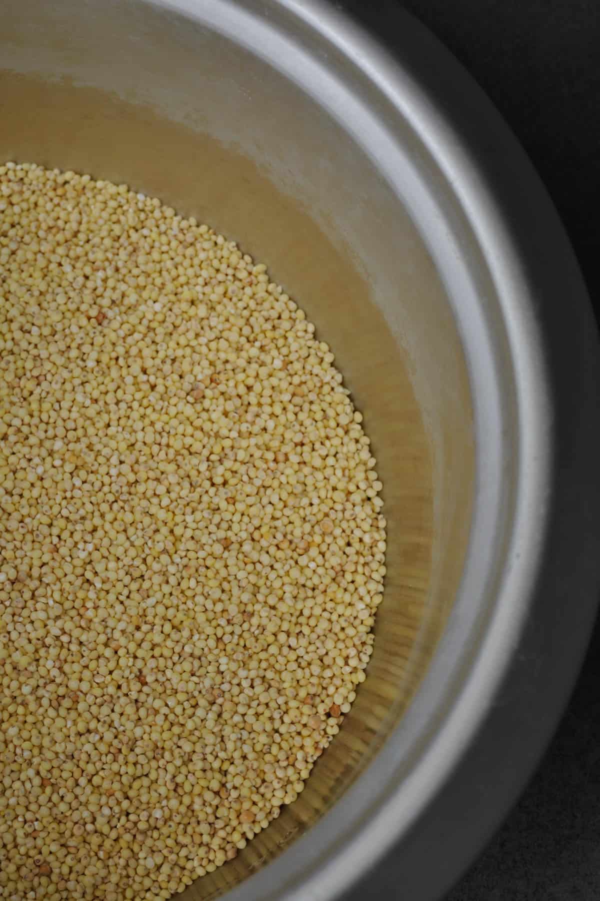 How to cook perfect fluffy millet all the time