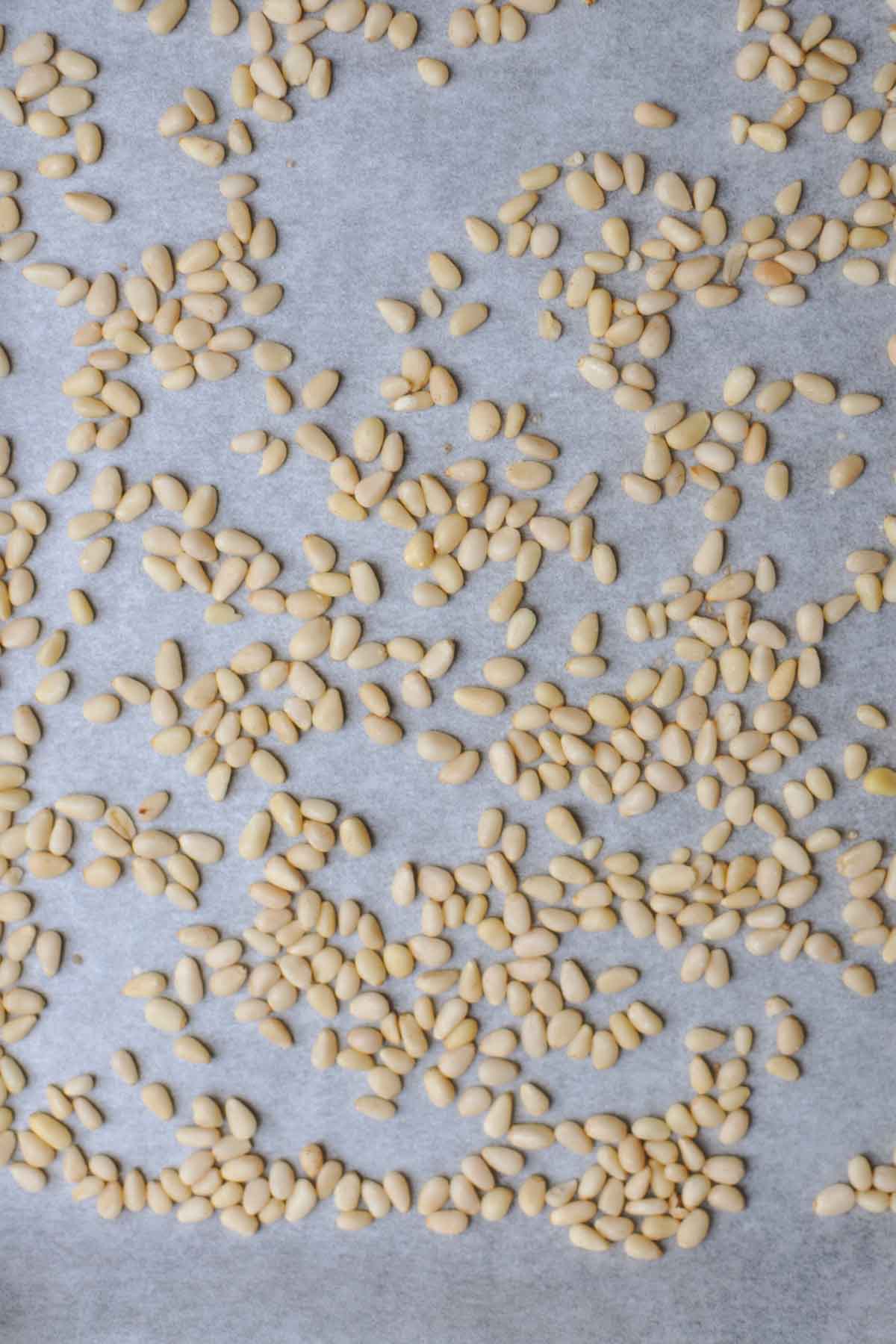 pine nuts for roasted pine nut butter recipe on a piece of parchment paper.