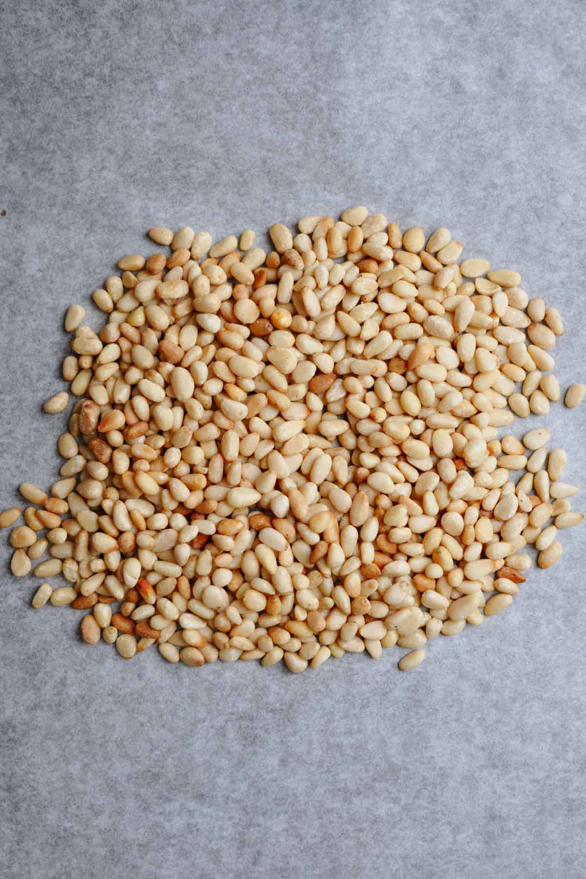 roasted pine nuts for roasted pine nut butter recipe on a piece of parchment paper.